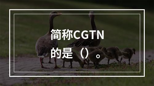 简称CGTN的是（）。