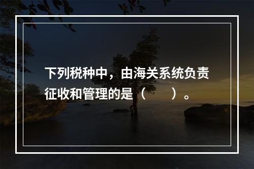 下列税种中，由海关系统负责征收和管理的是（　　）。