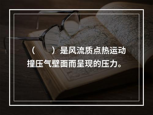 （　　）是风流质点热运动撞压气壁面而呈现的压力。