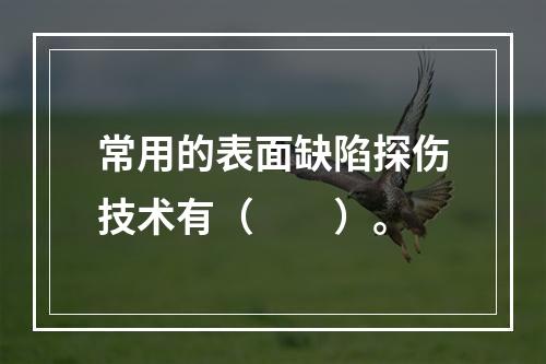 常用的表面缺陷探伤技术有（　　）。