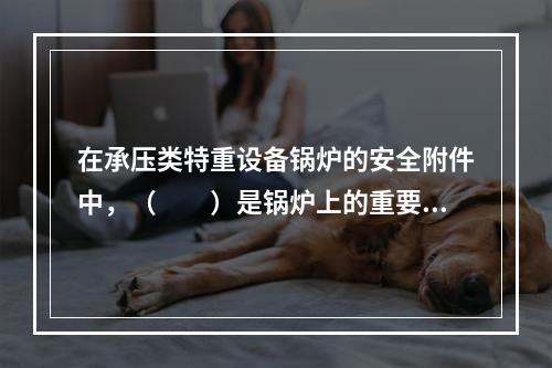 在承压类特重设备锅炉的安全附件中，（　　）是锅炉上的重要安全