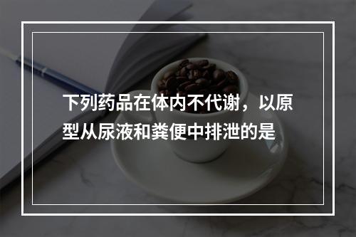 下列药品在体内不代谢，以原型从尿液和粪便中排泄的是