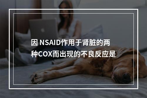 因 NSAID作用于肾脏的两种COX而出现的不良反应是