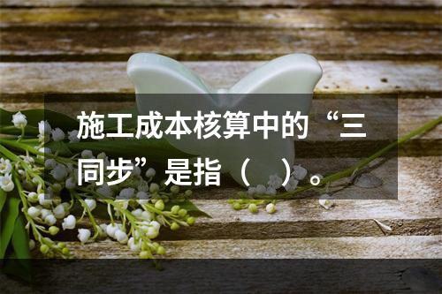 施工成本核算中的“三同步”是指（　）。