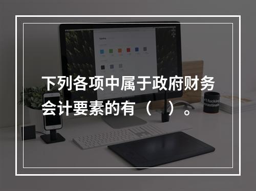 下列各项中属于政府财务会计要素的有（　）。