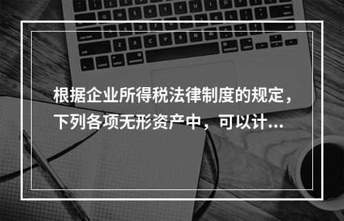 根据企业所得税法律制度的规定，下列各项无形资产中，可以计算摊