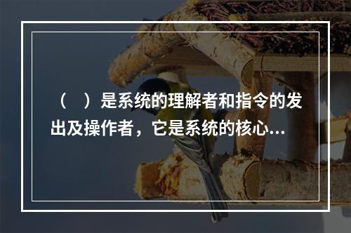 （　）是系统的理解者和指令的发出及操作者，它是系统的核心，其