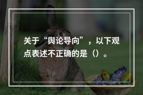 关于“舆论导向”，以下观点表述不正确的是（）。