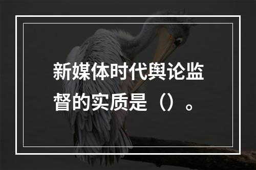 新媒体时代舆论监督的实质是（）。