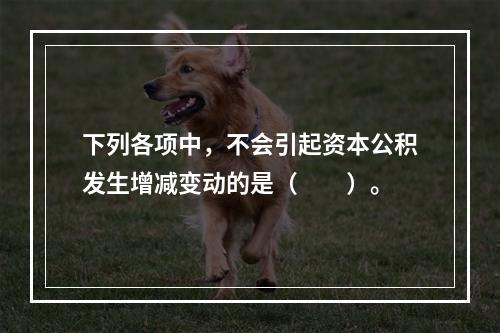 下列各项中，不会引起资本公积发生增减变动的是（　　）。