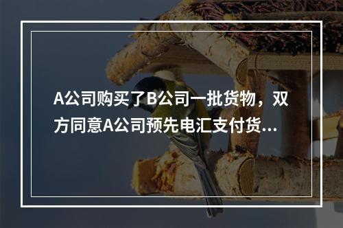 A公司购买了B公司一批货物，双方同意A公司预先电汇支付货款，