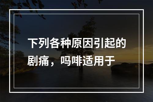 下列各种原因引起的剧痛，吗啡适用于