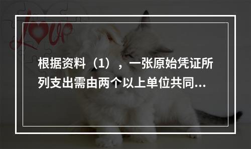 根据资料（1），一张原始凭证所列支出需由两个以上单位共同负担