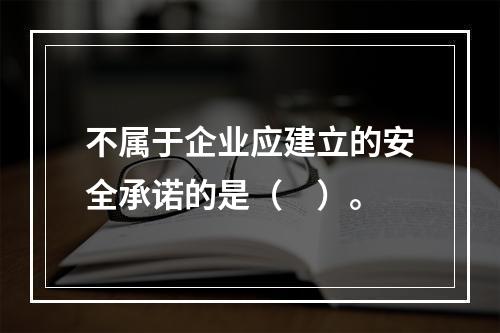 不属于企业应建立的安全承诺的是（　）。