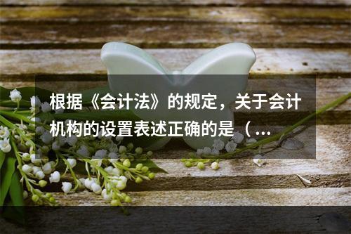 根据《会计法》的规定，关于会计机构的设置表述正确的是（ ）。