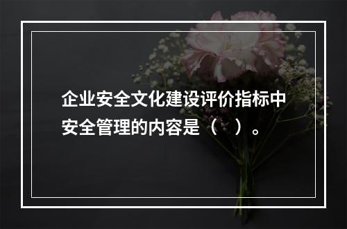 企业安全文化建设评价指标中安全管理的内容是（　）。