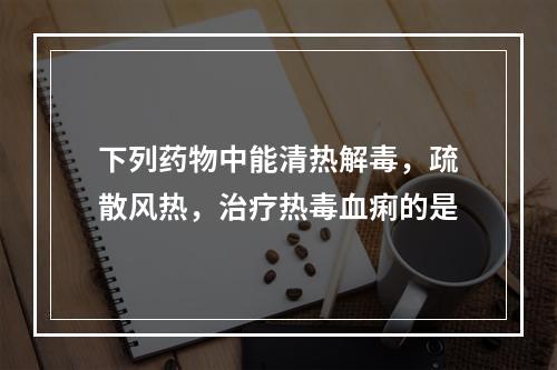 下列药物中能清热解毒，疏散风热，治疗热毒血痢的是