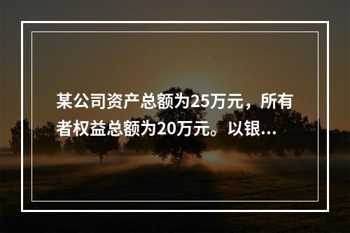 某公司资产总额为25万元，所有者权益总额为20万元。以银行存