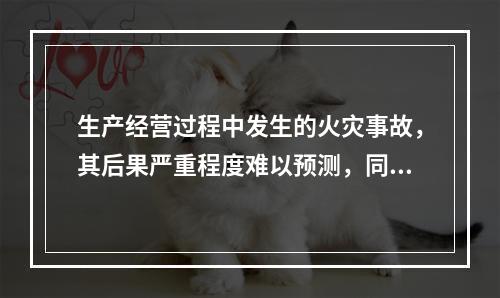 生产经营过程中发生的火灾事故，其后果严重程度难以预测，同类火