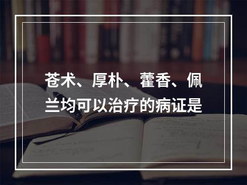 苍术、厚朴、藿香、佩兰均可以治疗的病证是