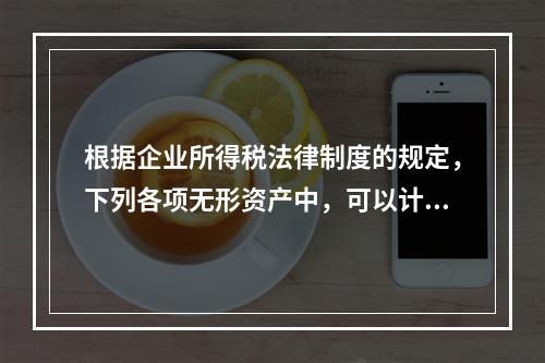 根据企业所得税法律制度的规定，下列各项无形资产中，可以计算摊