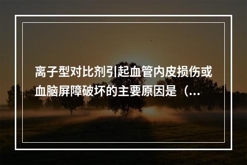 离子型对比剂引起血管内皮损伤或血脑屏障破坏的主要原因是（　　