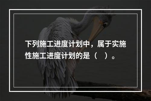 下列施工进度计划中，属于实施性施工进度计划的是（　）。