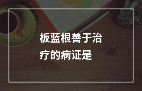 板蓝根善于治疗的病证是