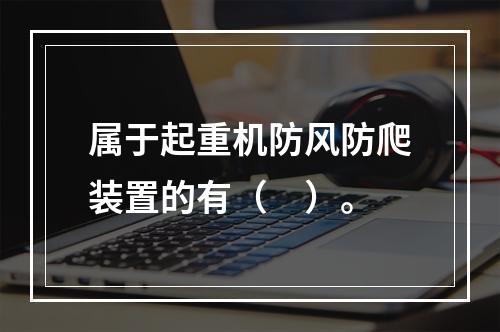 属于起重机防风防爬装置的有（　）。