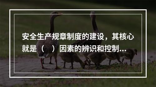 安全生产规章制度的建设，其核心就是（　）因素的辨识和控制。