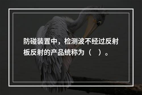 防碰装置中，检测波不经过反射板反射的产品统称为（　）。