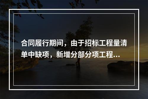 合同履行期间，由于招标工程量清单中缺项，新增分部分项工程清单