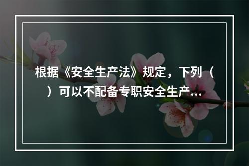 根据《安全生产法》规定，下列（　）可以不配备专职安全生产管理