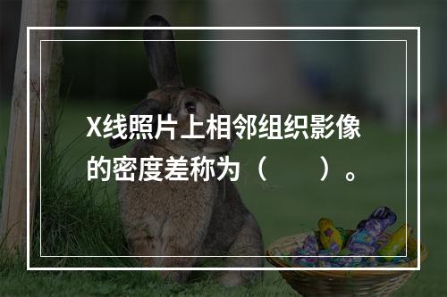 X线照片上相邻组织影像的密度差称为（　　）。