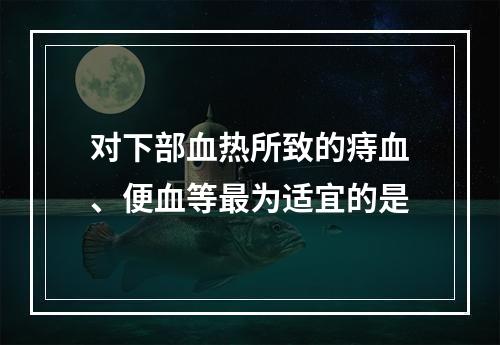 对下部血热所致的痔血、便血等最为适宜的是