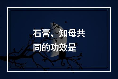 石膏、知母共同的功效是