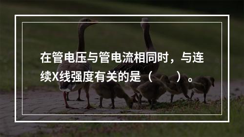 在管电压与管电流相同时，与连续X线强度有关的是（　　）。