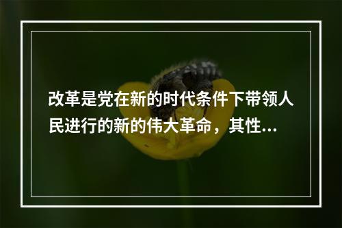 改革是党在新的时代条件下带领人民进行的新的伟大革命，其性质是