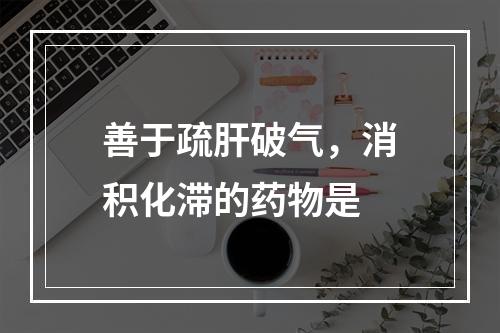 善于疏肝破气，消积化滞的药物是