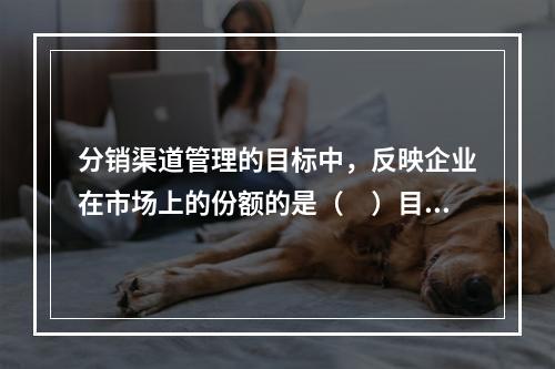 分销渠道管理的目标中，反映企业在市场上的份额的是（　）目标