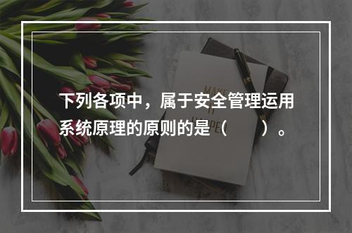 下列各项中，属于安全管理运用系统原理的原则的是（　　）。