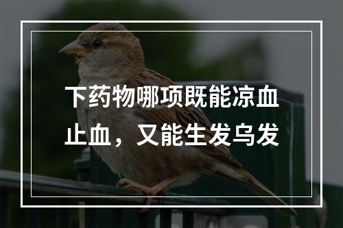 下药物哪项既能凉血止血，又能生发乌发