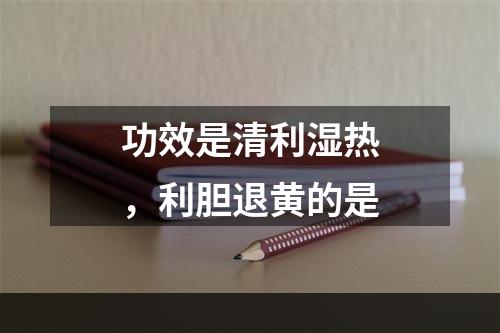 功效是清利湿热，利胆退黄的是