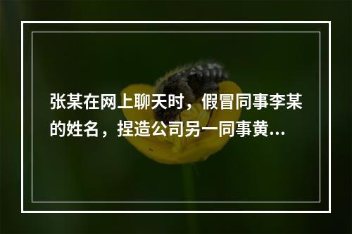 张某在网上聊天时，假冒同事李某的姓名，捏造公司另一同事黄某有