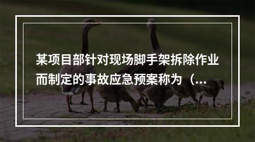 某项目部针对现场脚手架拆除作业而制定的事故应急预案称为（　）