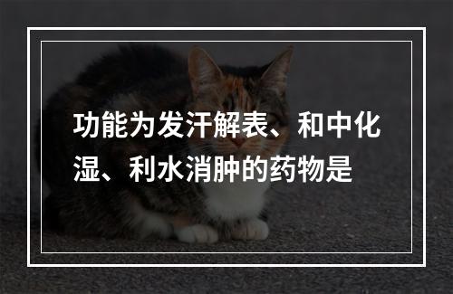 功能为发汗解表、和中化湿、利水消肿的药物是