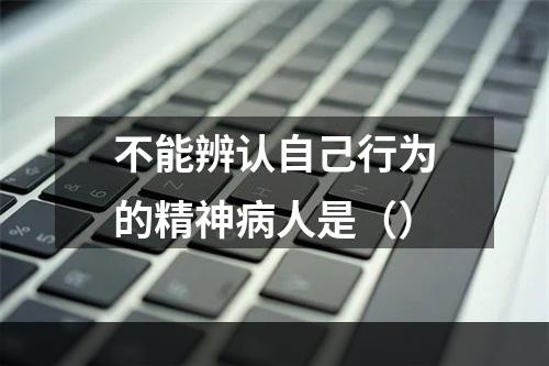 不能辨认自己行为的精神病人是（）