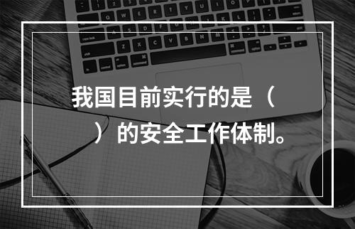 我国目前实行的是（　　）的安全工作体制。