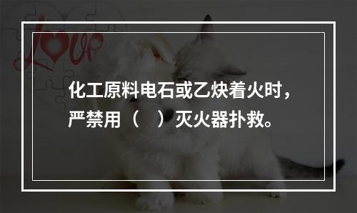 化工原料电石或乙炔着火时，严禁用（　）灭火器扑救。