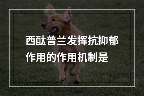 西酞普兰发挥抗抑郁作用的作用机制是